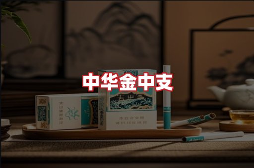 中华金中支